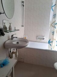 Pandan Valley (D21), Condominium #585438191